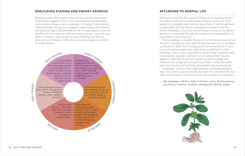 Sample content 3_The Home Herbal