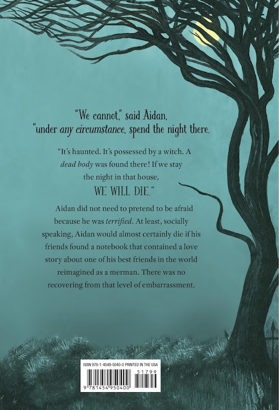 Back cover_The House on Yeet Street