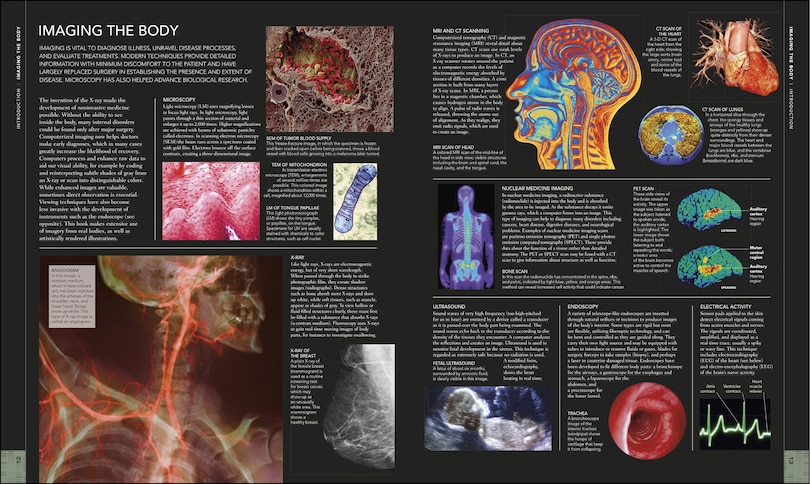 Sample content_The Human Body Book