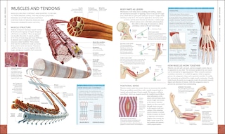 Sample content 2_The Human Body Book