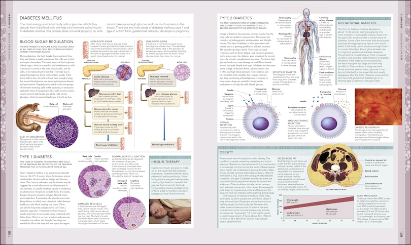 Sample content 3_The Human Body Book