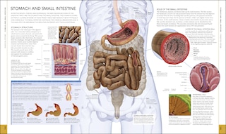 Sample content 4_The Human Body Book