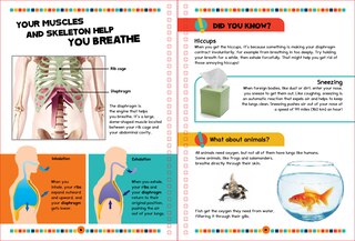 Sample content 2_THE HUMAN BOOK