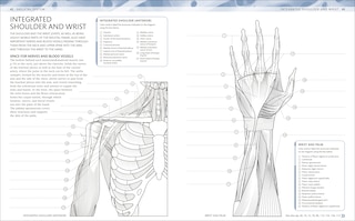 Sample content_The Human Body Coloring Book