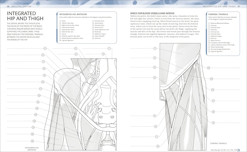 Sample content 2_The Human Body Coloring Book