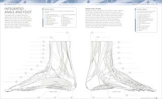 Sample content 3_The Human Body Coloring Book