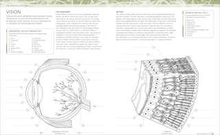 Sample content 4_The Human Body Coloring Book