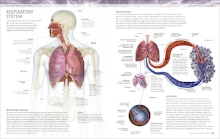Sample content 5_The Human Body Coloring Book