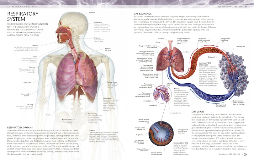 Sample content 5_The Human Body Coloring Book