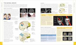 Aperçu du contenu 2_The Human Brain Book