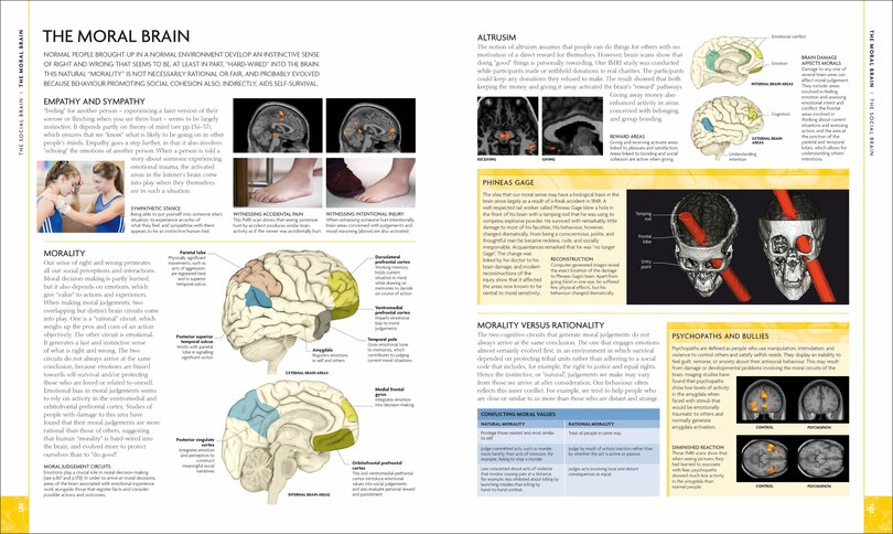Aperçu du contenu 2_The Human Brain Book