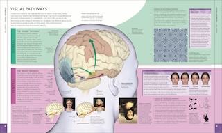 Aperçu du contenu 3_The Human Brain Book