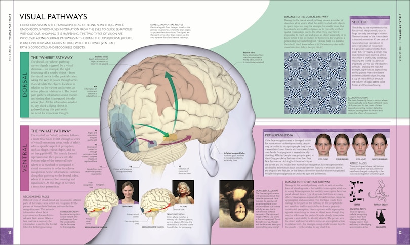 Aperçu du contenu 3_The Human Brain Book