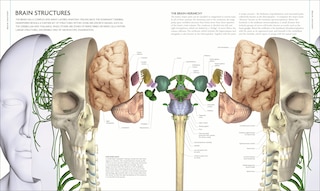 Aperçu du contenu 4_The Human Brain Book