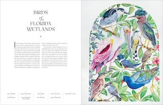Sample content 3_The Illuminated Book of Birds