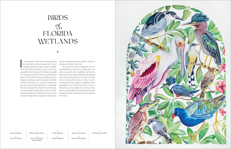 Sample content 3_The Illuminated Book of Birds