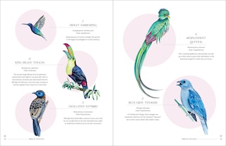 Sample content 4_The Illuminated Book of Birds