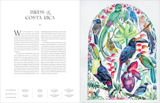 Sample content 5_The Illuminated Book of Birds