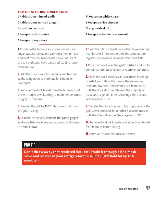 Sample content 2_The Infrared Grill Master