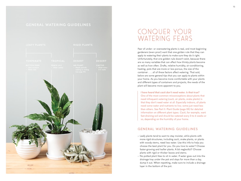 Sample content_The Inspired Houseplant