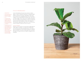 Sample content 2_The Inspired Houseplant