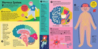 Sample content 4_The Interactive Human Body