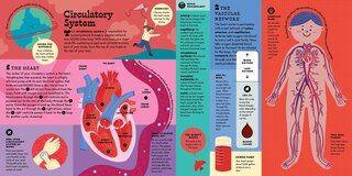 Sample content 5_The Interactive Human Body