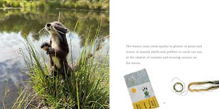 Aper&ccedil;u du contenu_The Joy Bringers