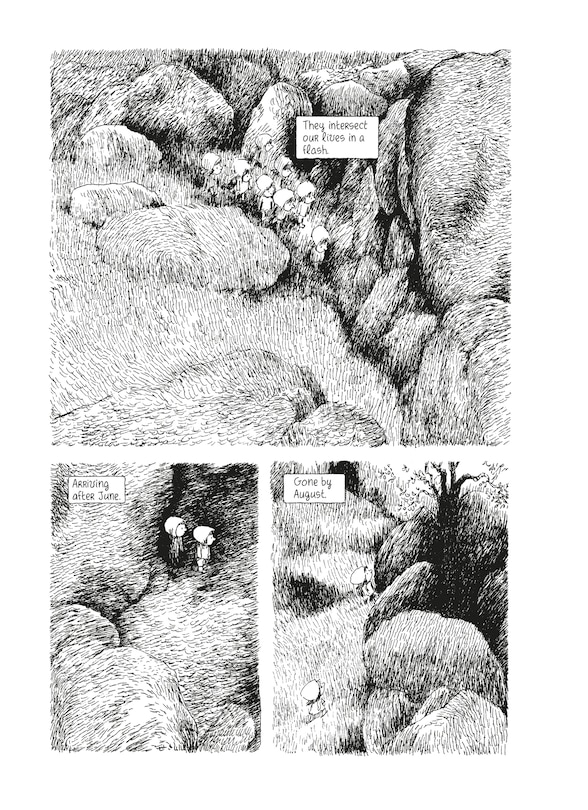 Sample content 3_The Julys