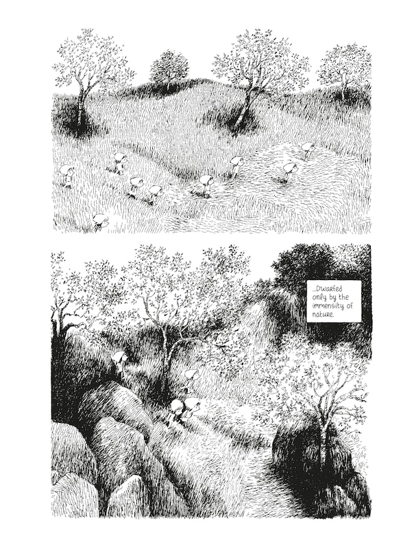 Sample content 4_The Julys