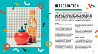 Sample content 5_The Ketchup Lover&rsquo;s Cookbook