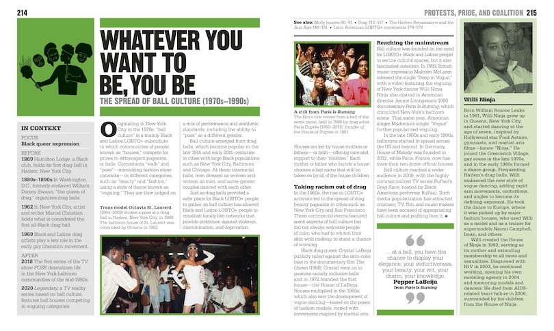 Sample content 3_The LGBTQ + History Book