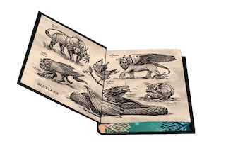 Sample content 5_The Library of Amorlin: Deluxe Limited Edition