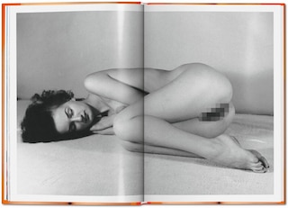 Sample content 5_The Little Big Book of Pussy