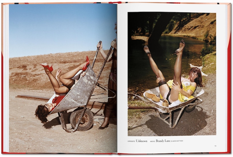 Sample content_The Little Big Book Of Legs