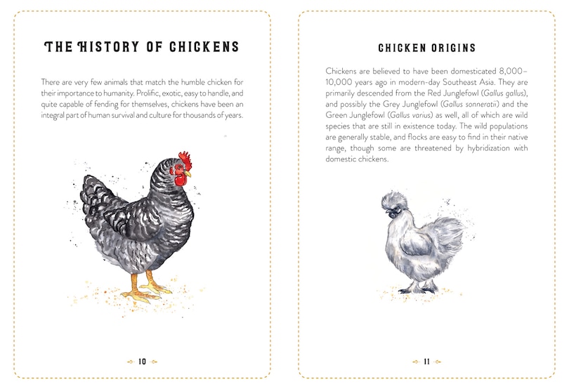 Aperçu du contenu 2_The Little Book of Chickens