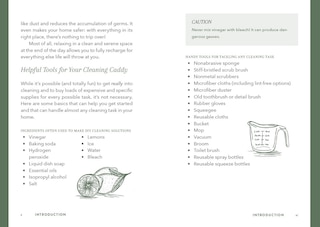 Sample content 3_The Little Book of Cleaning Tips