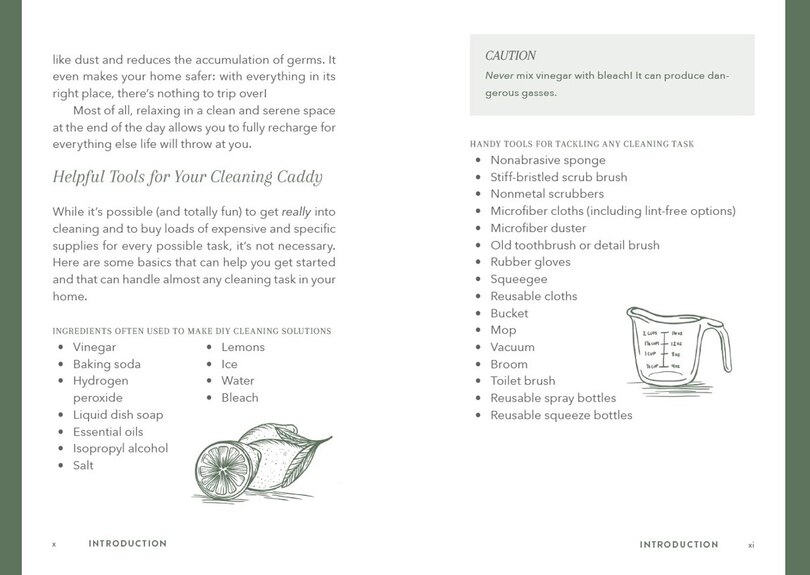 Sample content 3_The Little Book of Cleaning Tips