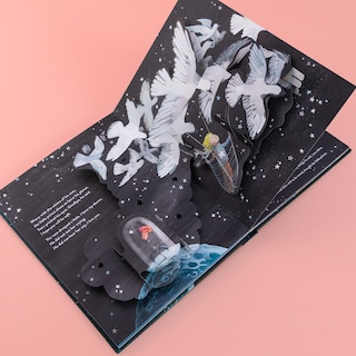 Aper&ccedil;u du contenu 2_The Little Prince