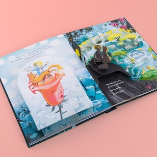 Aper&ccedil;u du contenu 4_The Little Prince