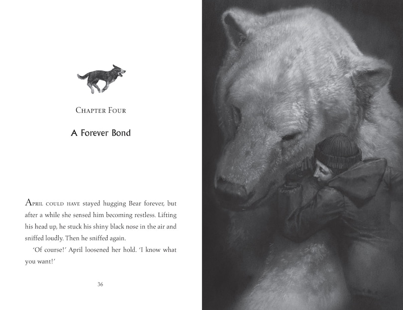 Sample content_The Lone Husky