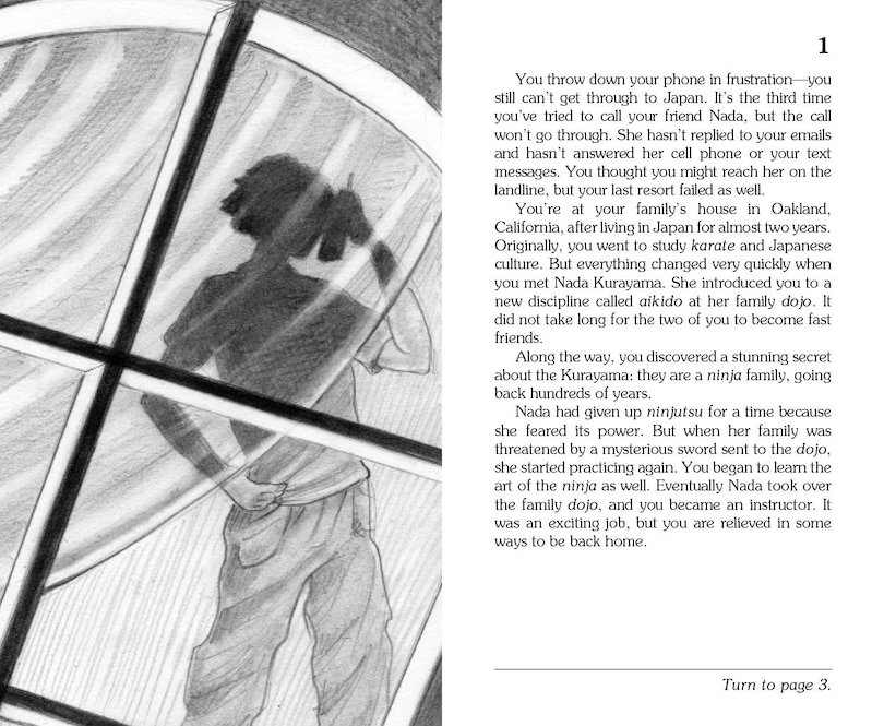 Sample content_The Lost Ninja