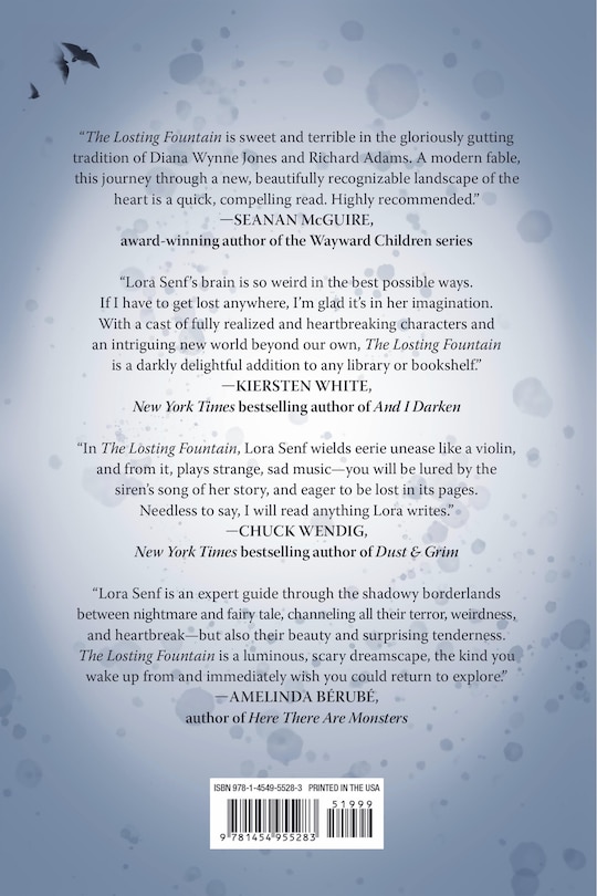 Back cover_The Losting Fountain