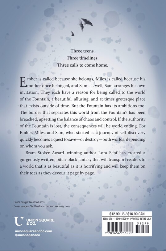 Back cover_The Losting Fountain