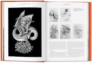 Sample content 5_The Magic Mirror of M.C. Escher