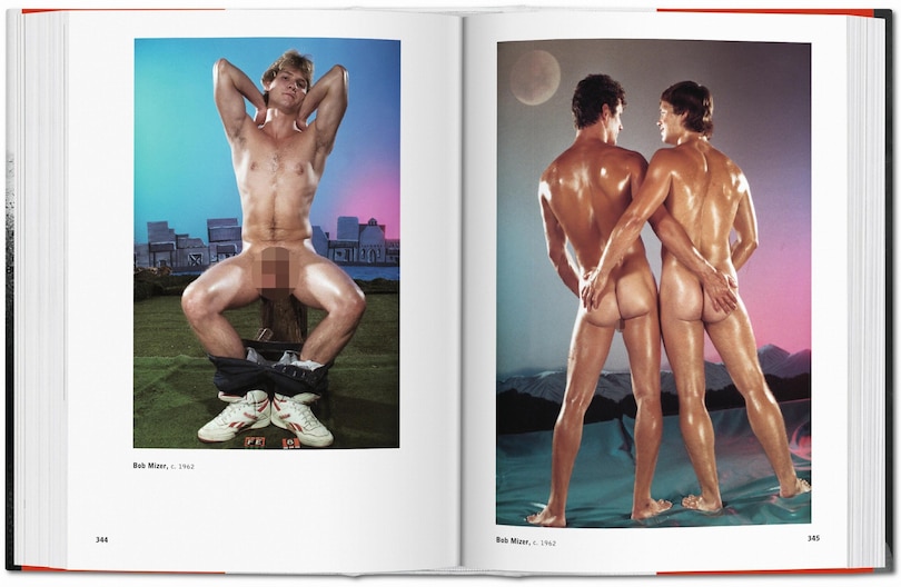 Sample content_The Male Nude