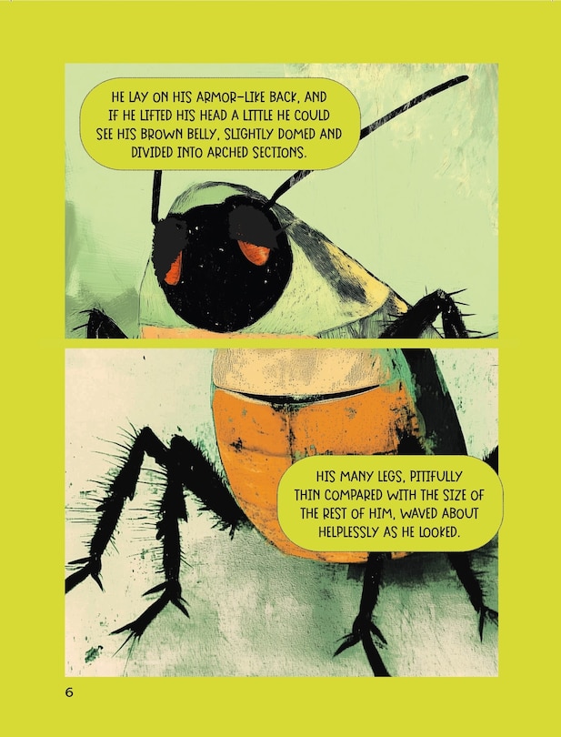 Aper&ccedil;u du contenu 2_The Metamorphosis