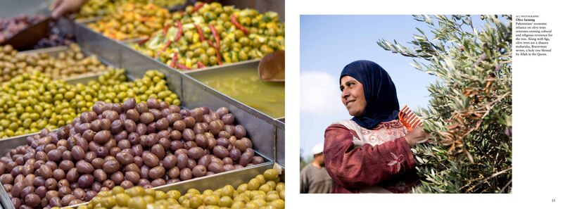 Sample content_The Middle East