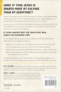 Back cover_The Missing Messiah