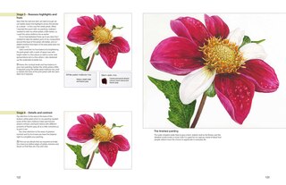 Sample content_The Modern Flower Painter
